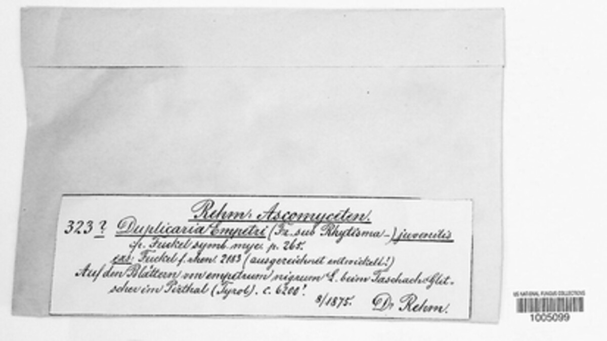 Duplicaria empetri image